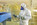 sablage, métallisation,peintre industriel Deux-Sèvres, peinture industrielle à parthenay 79200, canéo-france, shoopage